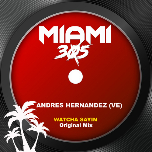 Andrés Hernández (VE) - Watcha Sayin (Original Mix) [CAT676725]